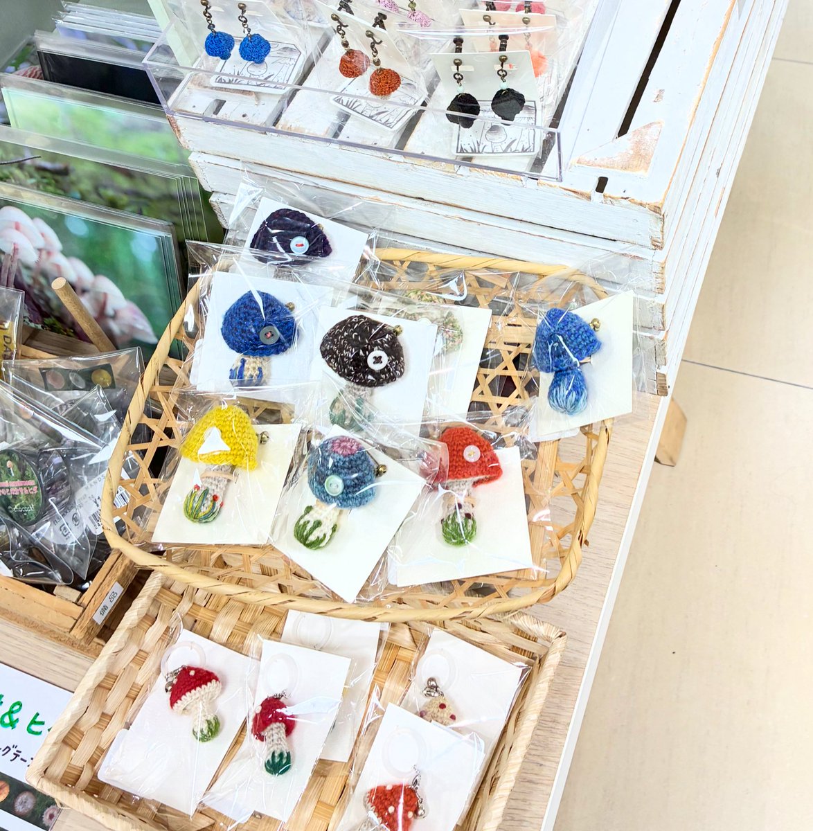 早いものであと少しで「横浜きのこクラブ」が終わってしまいます。Xでは連日きのこ生やしてすみません。4/8過ぎたら少し寂しくなるかも💦
ハンズのお客さんにもきのこの魅力を少しでも紹介できたかな。
たくさんの出会いをありがとう。