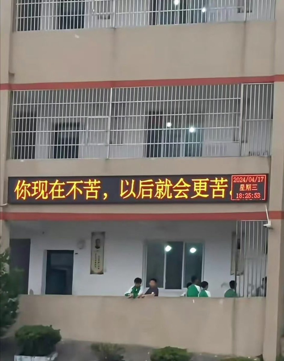 奔跑的萍萍 tweet media