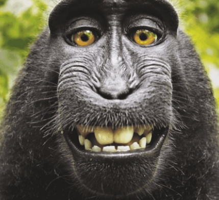 Ritter Lich tweet media