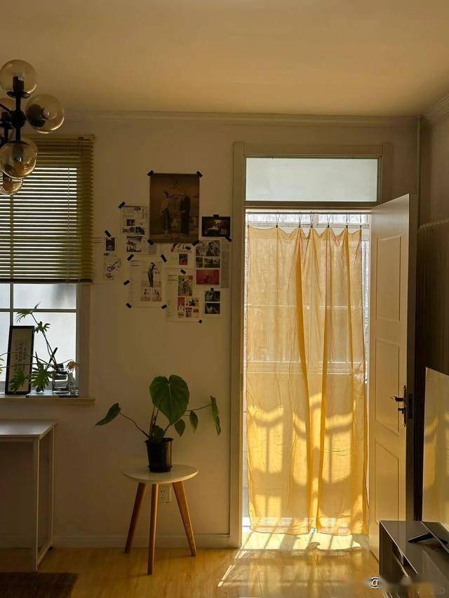 Ivy Chan tweet media