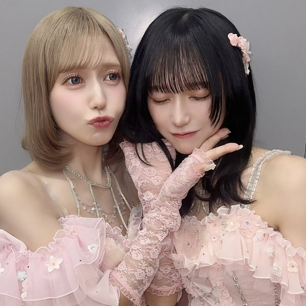 りょこぽん tweet media