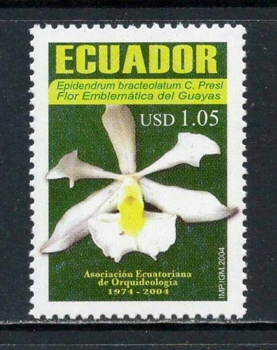 Philatelovely's tweet image. Ey up EvEryonE!! It’s the letter E today in the a-z of Flowers on Stamps. Here’s my choices, please share yours too.

Ecuador 🇪🇨 
Estonia 🇪🇪 
Ethiopia 🇪🇹 

#stampcollecting #philately #stamps