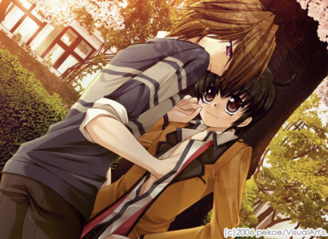 nokch☆ tweet media