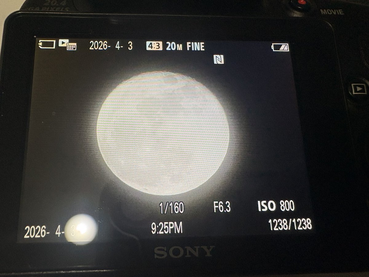 紫苑@ドール垢 tweet media