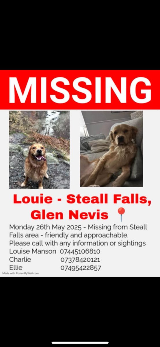 Missing Pets GB tweet media