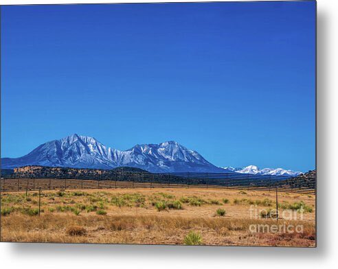 Diana Mary Sharpton tweet media