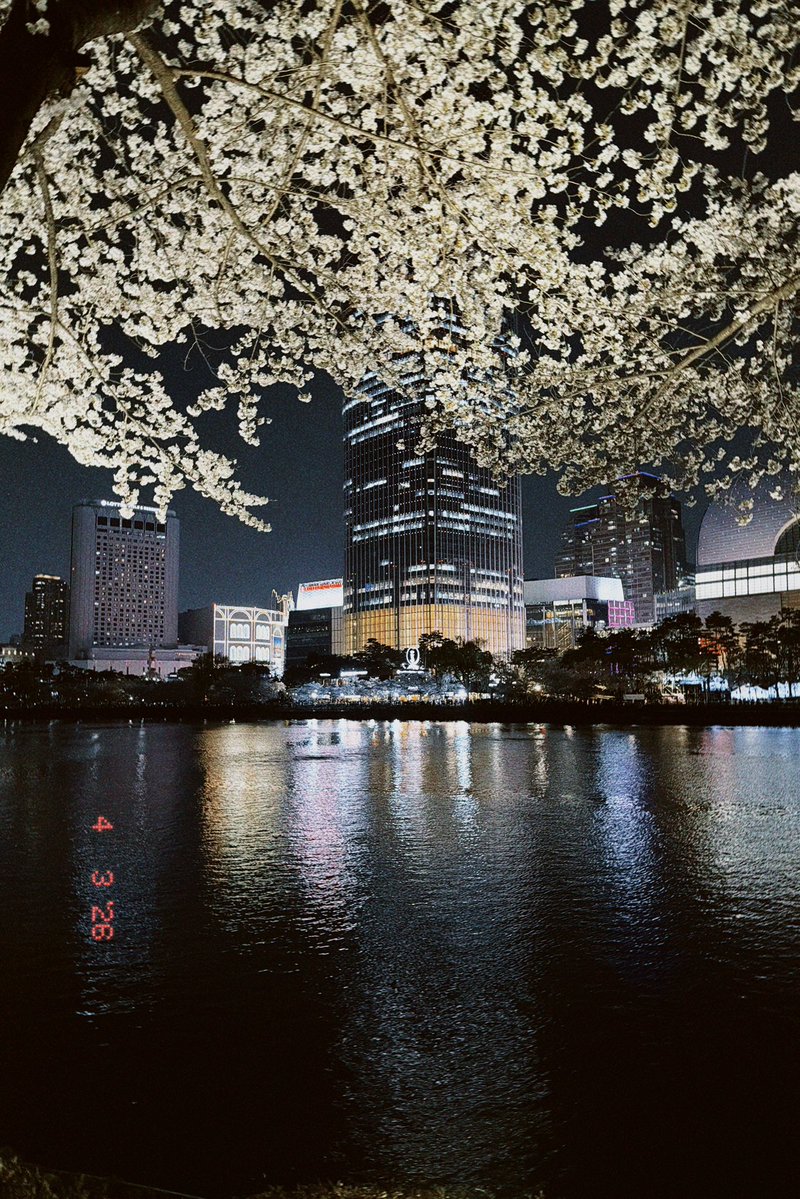 페리테일 tweet media