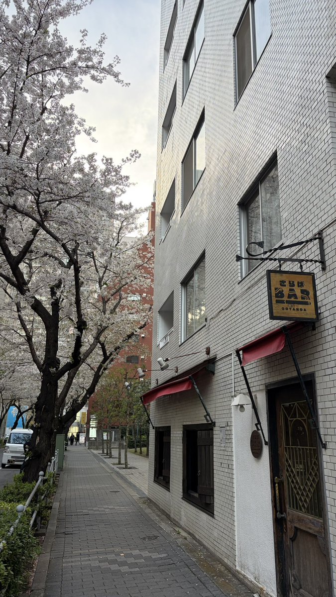 さらばBAR 五反田店 tweet media