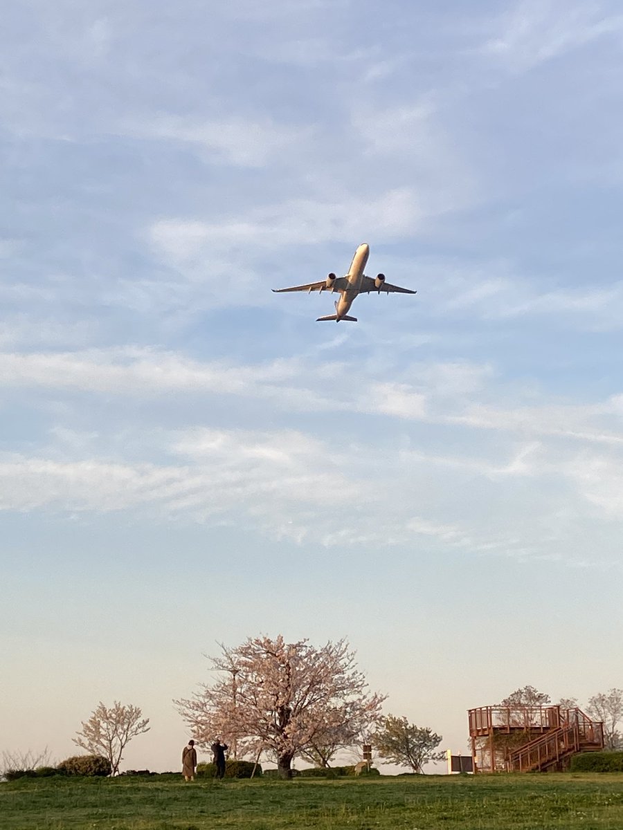 せるふぃーゆ tweet media