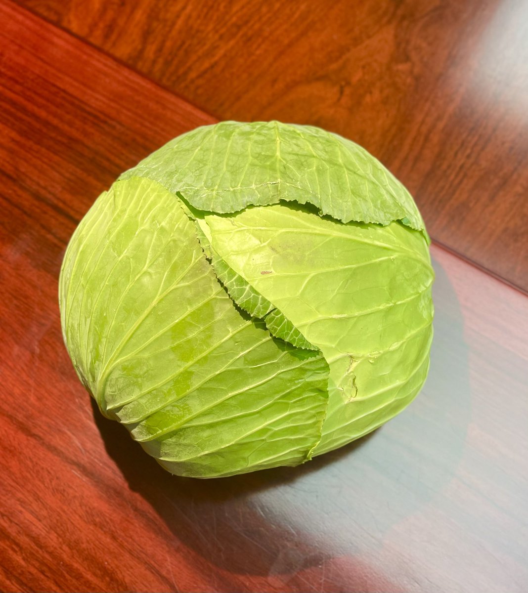 鈴木憲和 tweet media