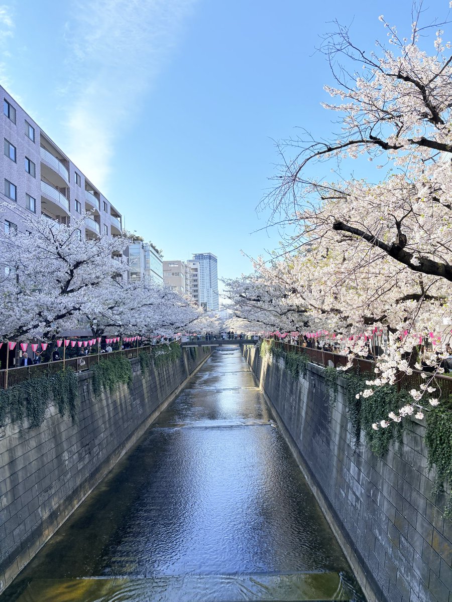 柚月彩那 tweet media