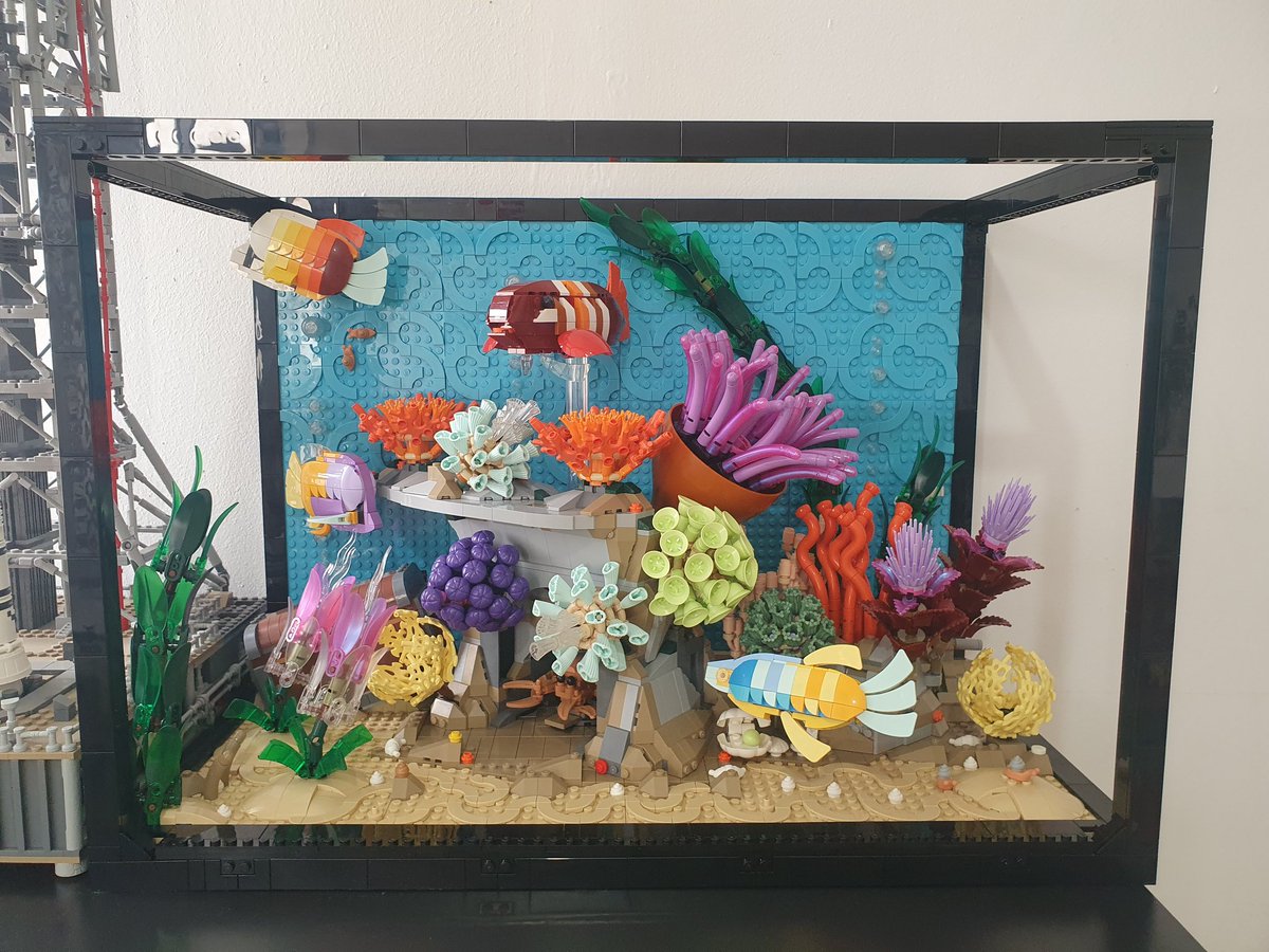 תומישל 🏳️🌈🇮🇱 tweet media