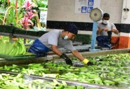 Easyfresh Logistics tweet media