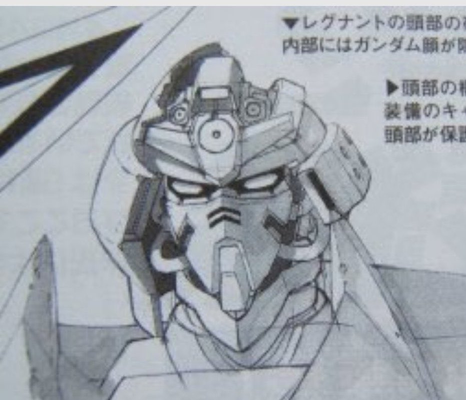 毛羽毛現 tweet media