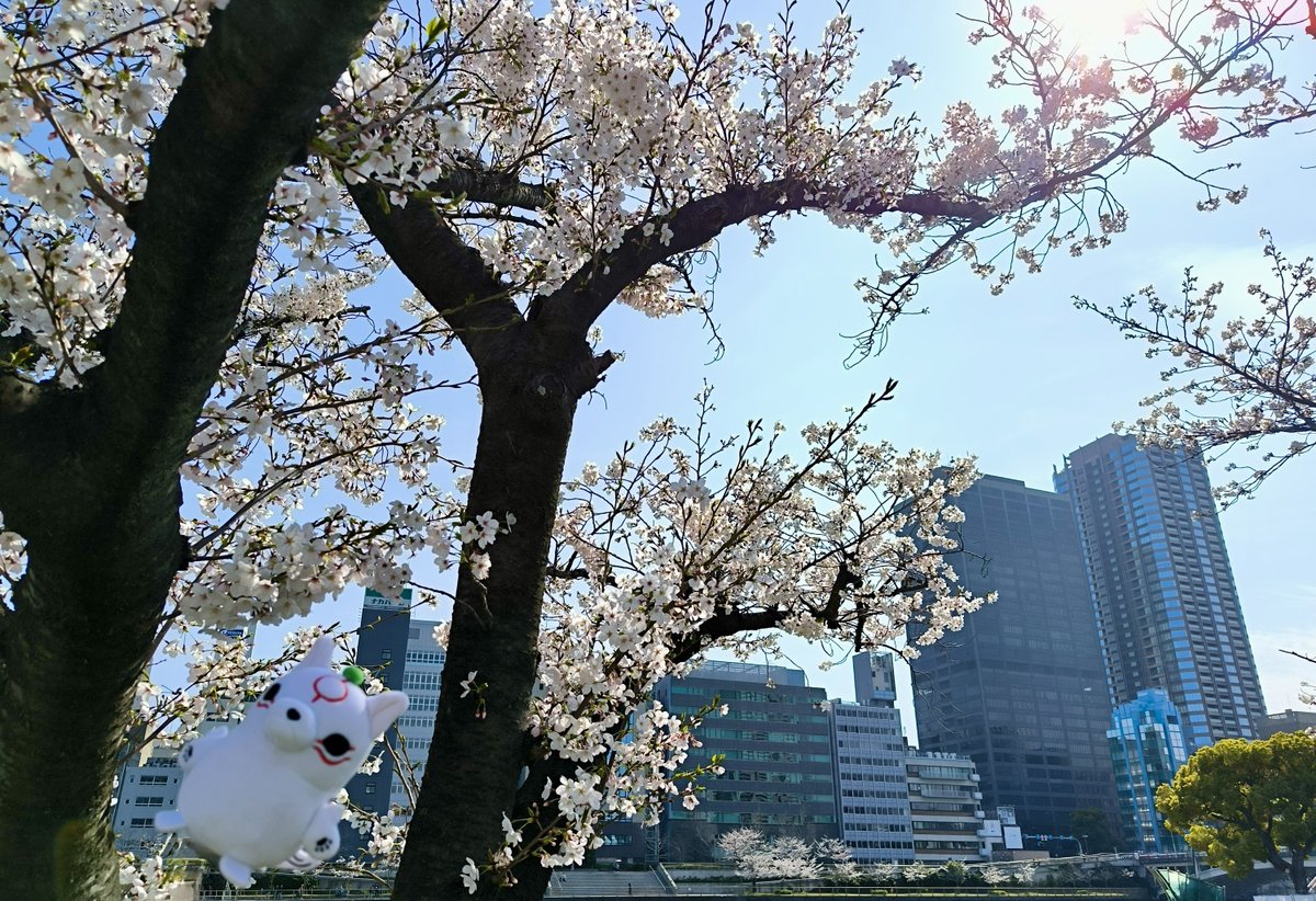 CLOVERS Inc. | クローバーズ🍀 tweet media