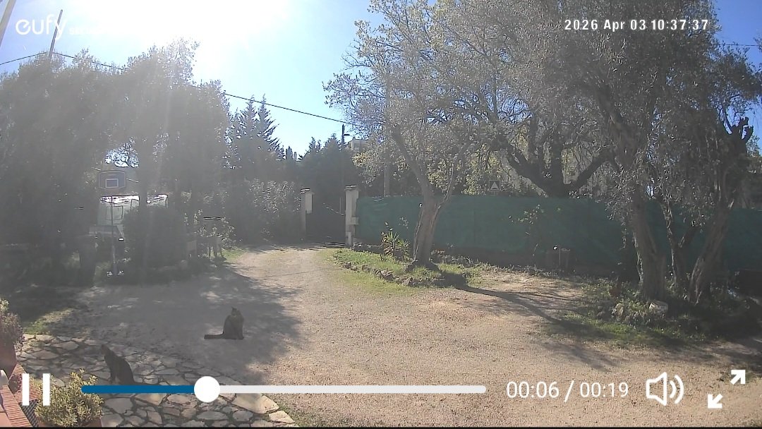 Romain ¦ Lyricis 🇫🇷🐺 tweet media