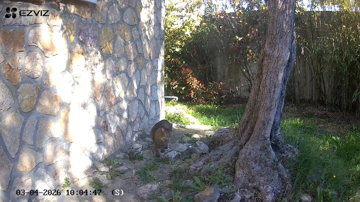 Romain ¦ Lyricis 🇫🇷🐺 tweet media