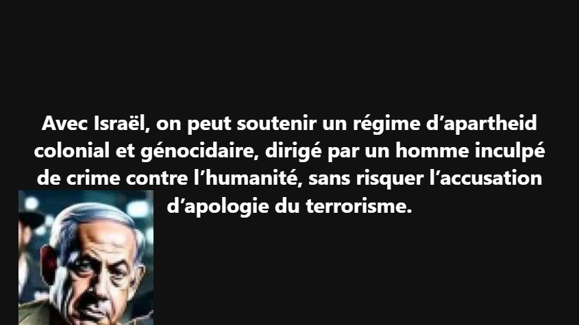 PIERRE VERNEφ tweet media