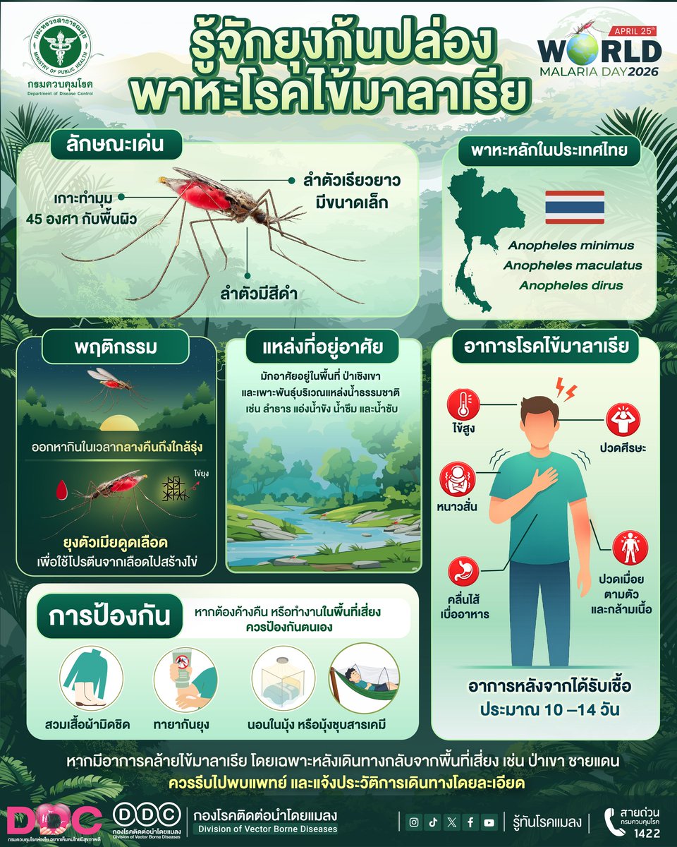 vbdthai's tweet photo. รู้จักยุงก้นปล่อง พาหะนำโรคไข้มาลาเรีย
Driven to End Malaria: Now We Can. Now We Must.

#WMD2026 #รู้จักยุงก้นปล่อง #โรคไข้มาลาเรีย #โรคติดต่อนำโดยแมลง #ยุติมาลาเรีย https://t.co/itmrPUIvBa