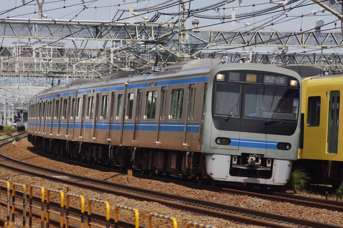 薄ワパ(コペハ鳥) tweet media