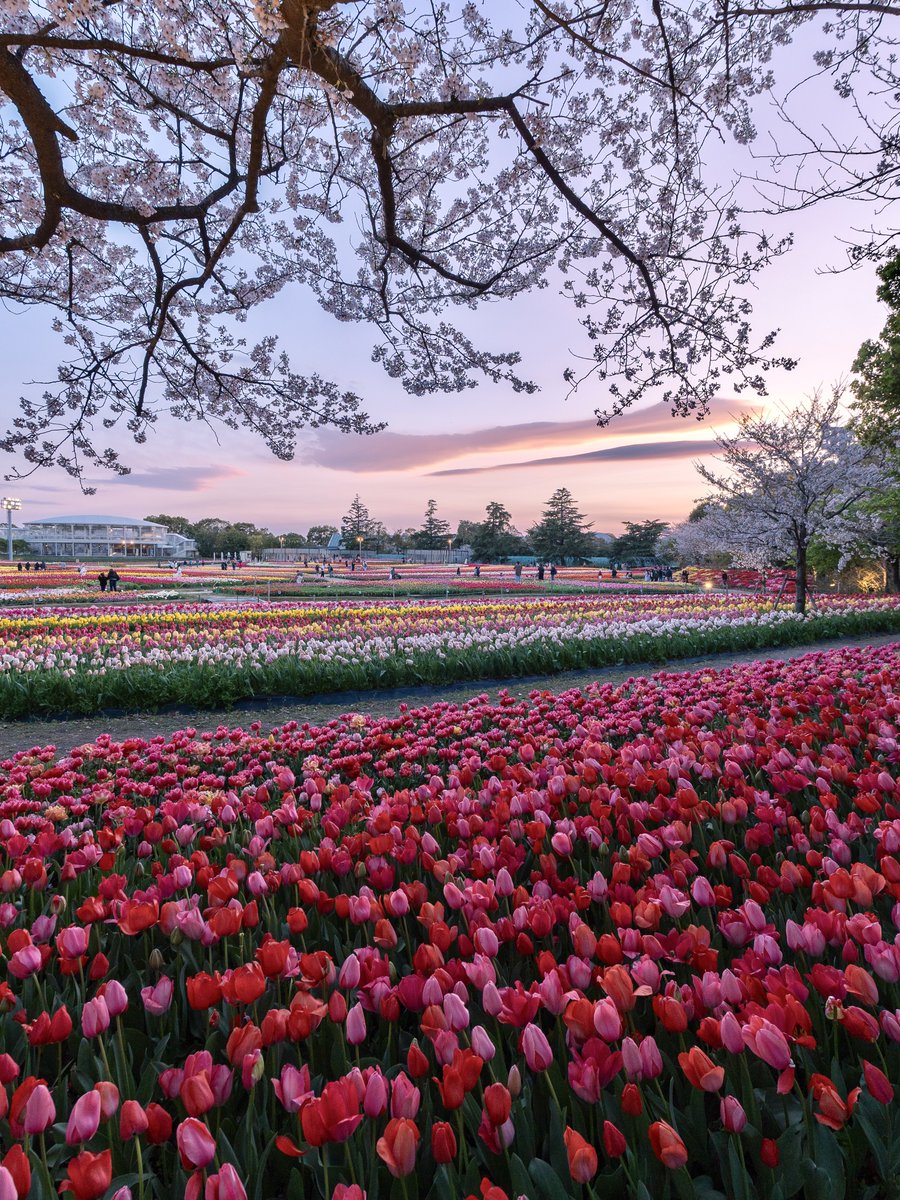 𝚋𝚒𝚛𝚍 tweet media