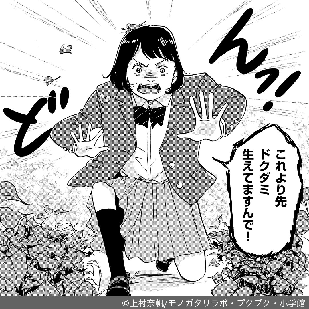 ザッケン！【公式】 tweet media