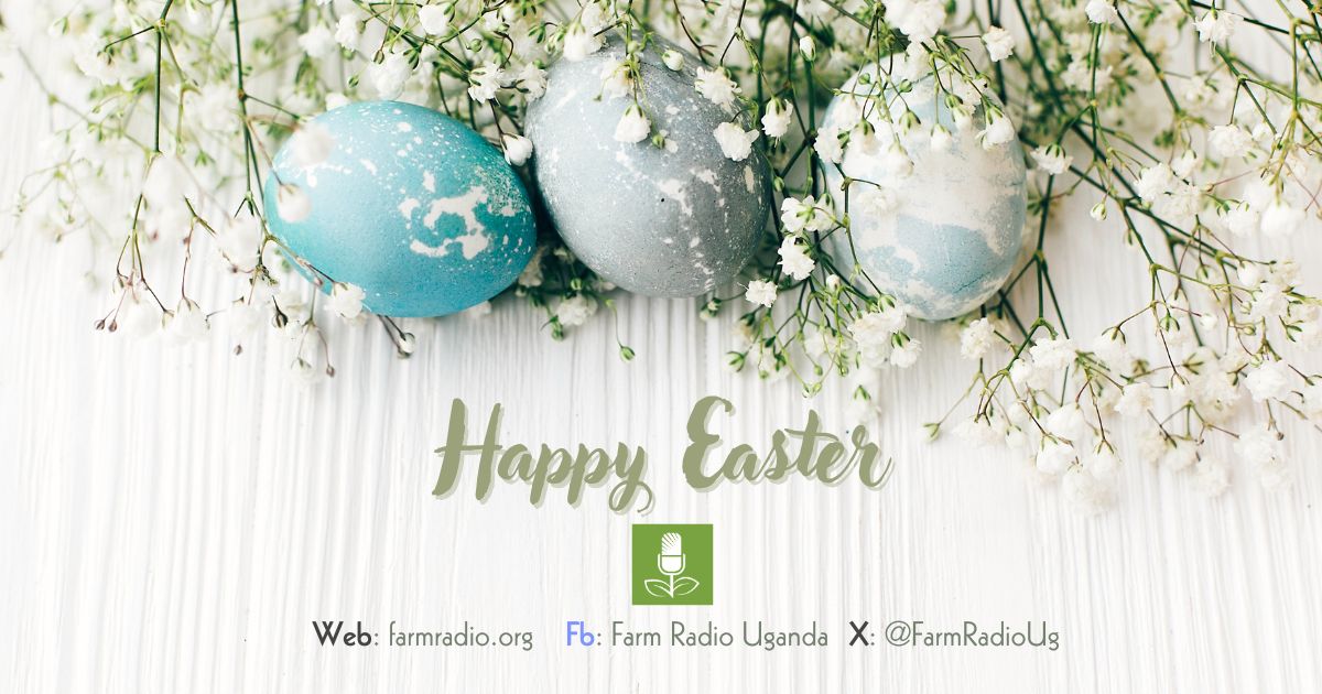 Farm Radio Uganda tweet media