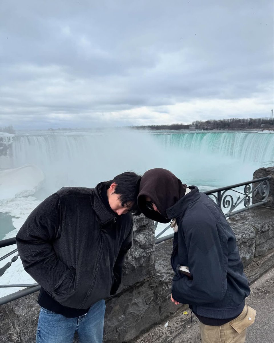 ㅍㅇ ❀ tweet media