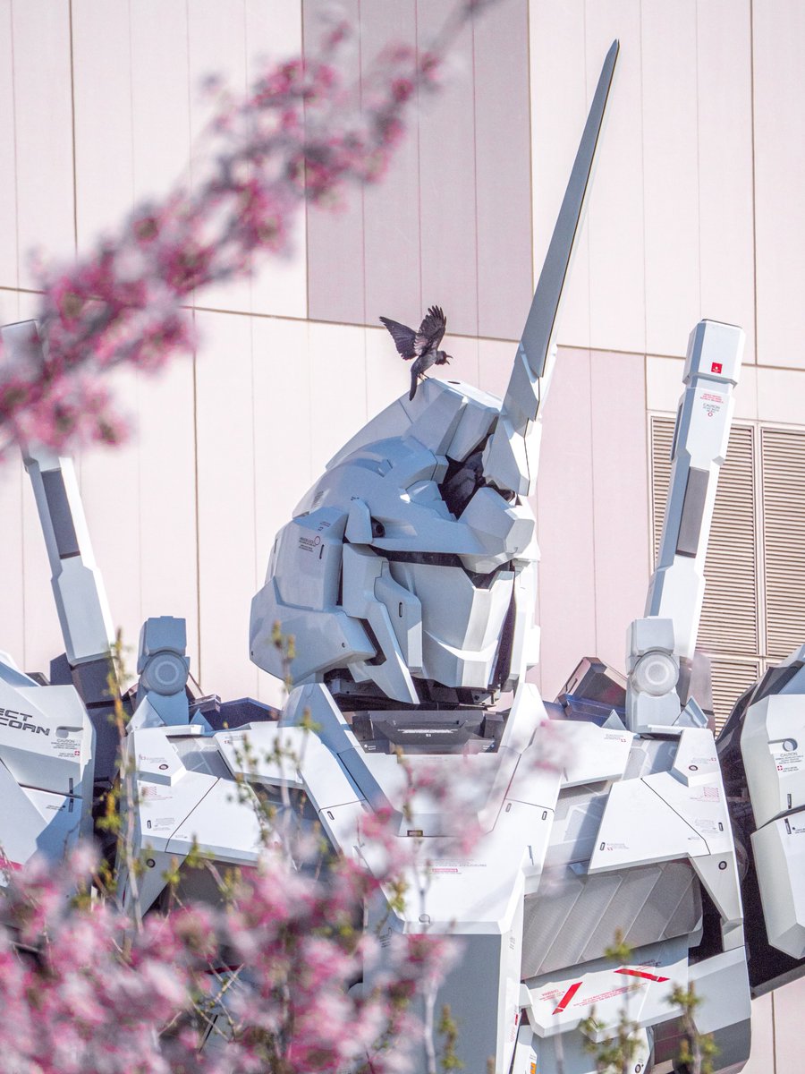 よっくん tweet media