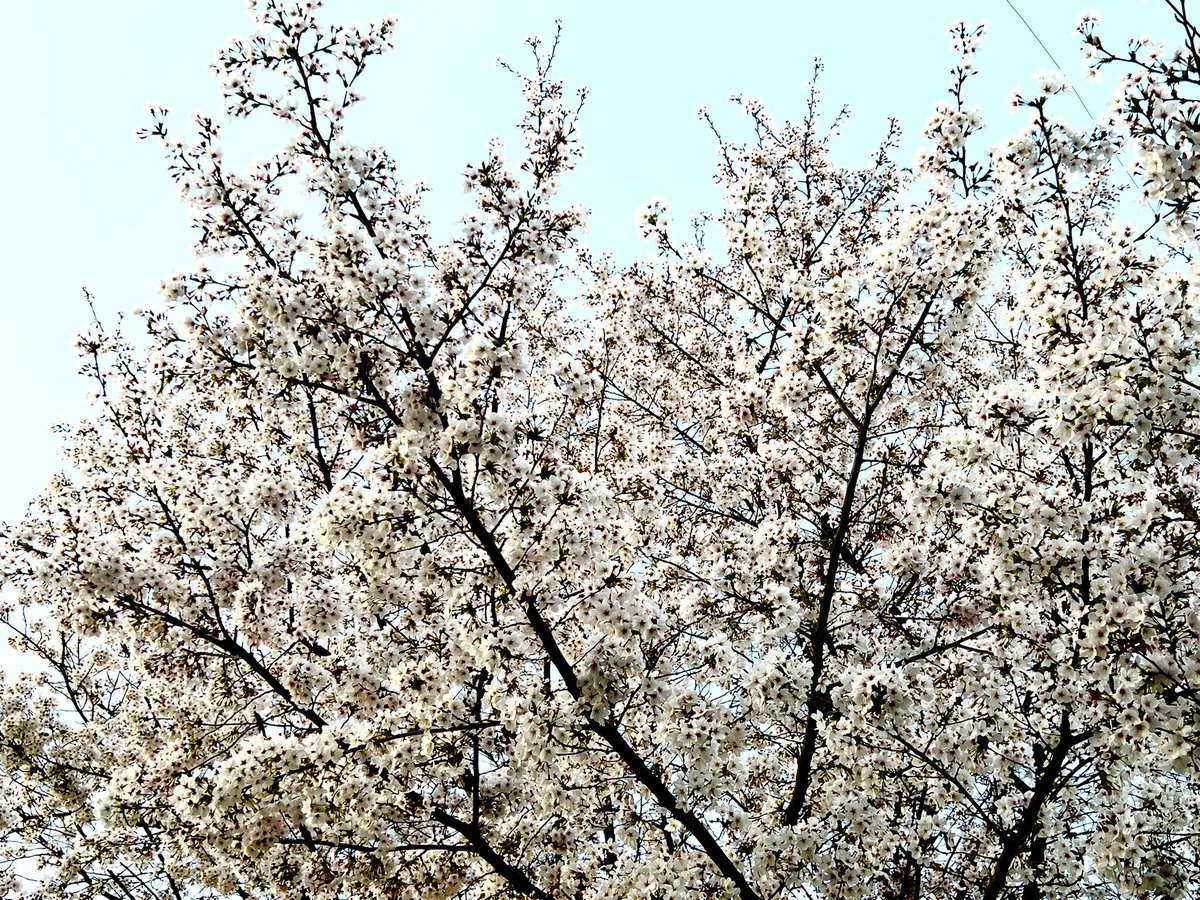 Post by 中川敬 Nakagawa Takashi (Soul Flower Union) on X: 小憩。