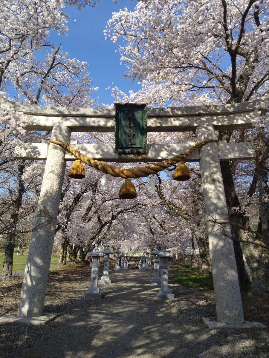 ヤマヒロ tweet media