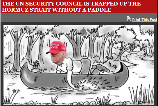 Dances_with_Bears tweet media