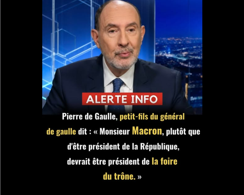 PIERRE VERNEφ tweet media