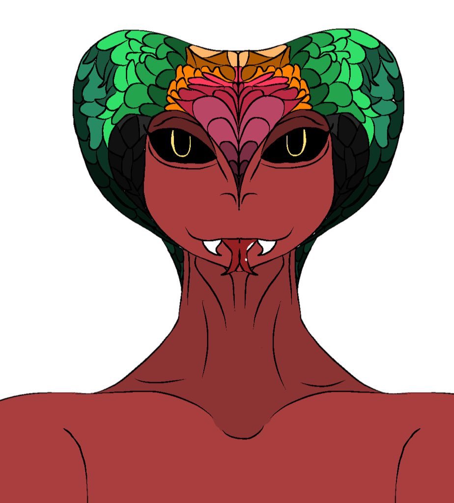 Kuperoid tweet media