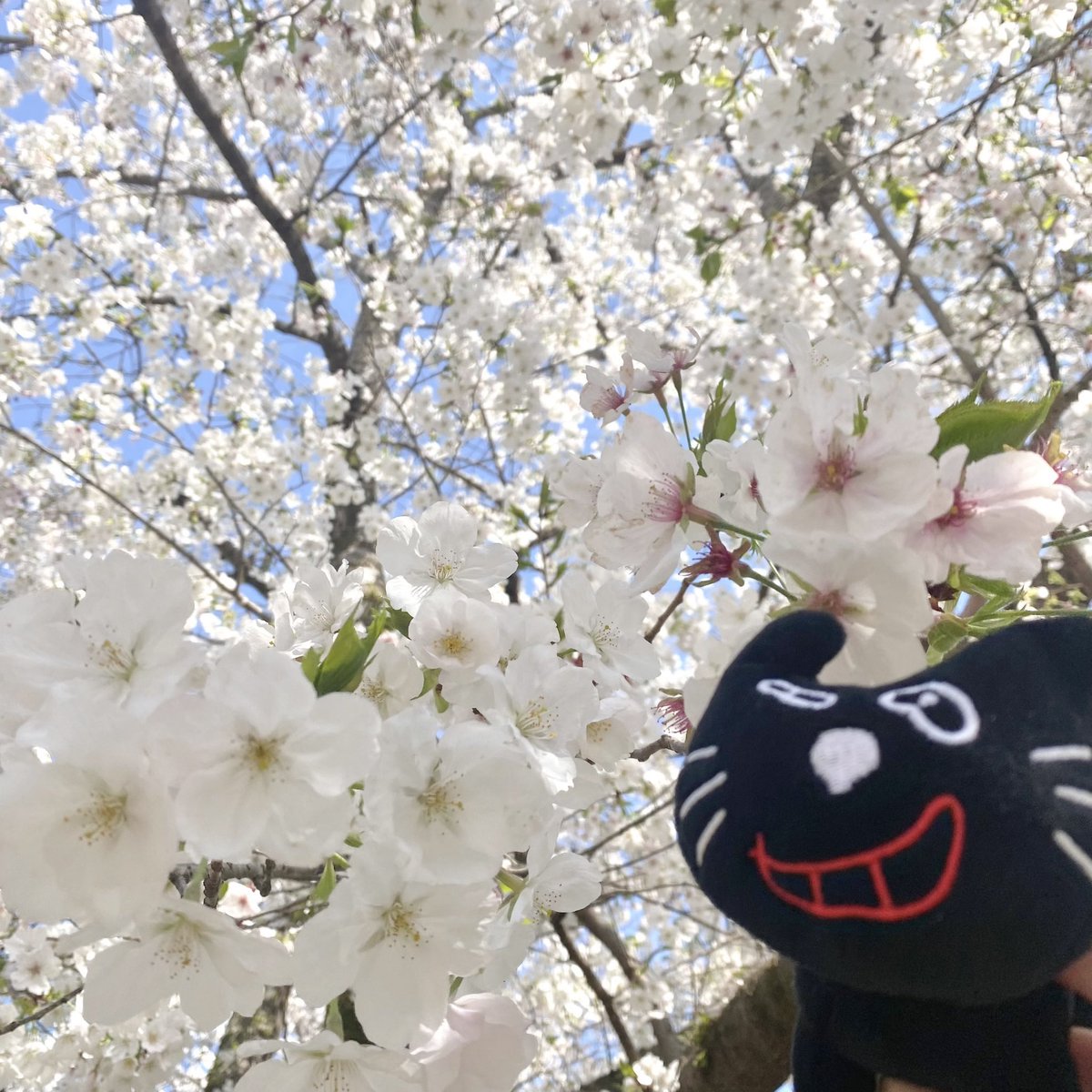 みいこ tweet media