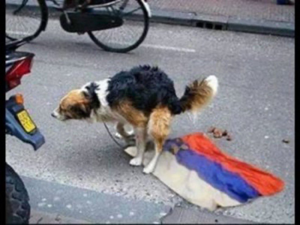 Erik van Zwam, traveler and journalist tweet media