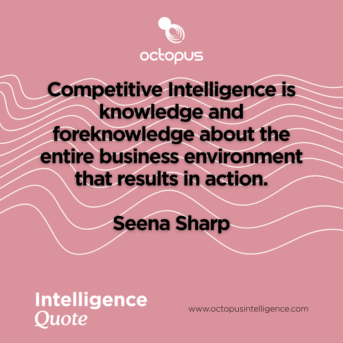 Octopus Intelligence tweet media