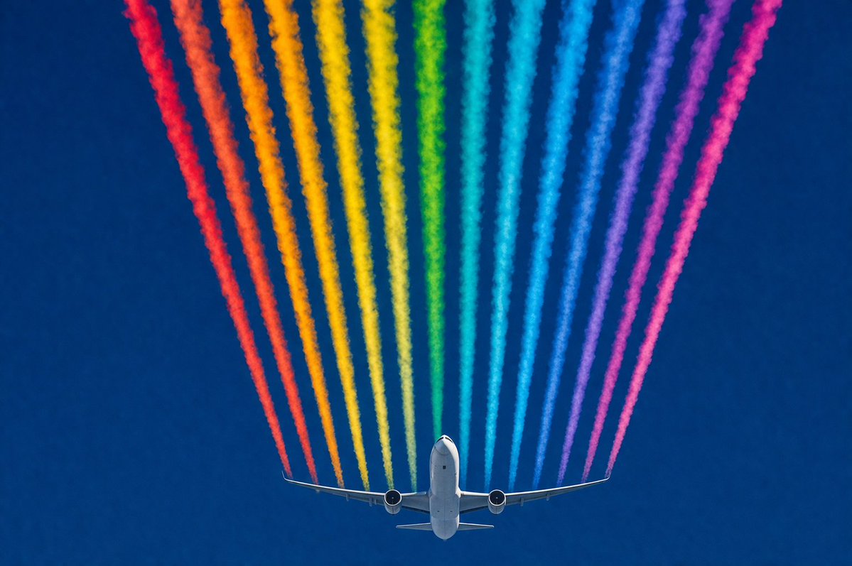 Luca Foschi tweet media