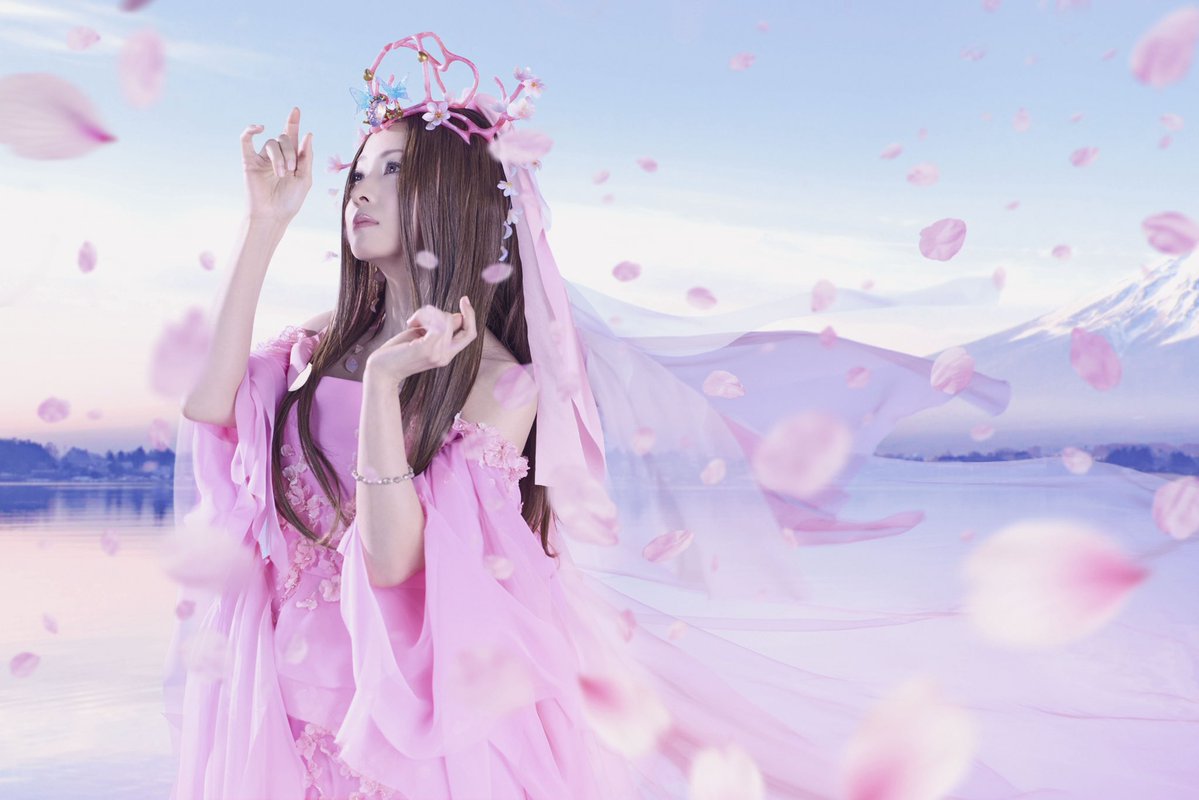 倉木麻衣 Staff tweet media