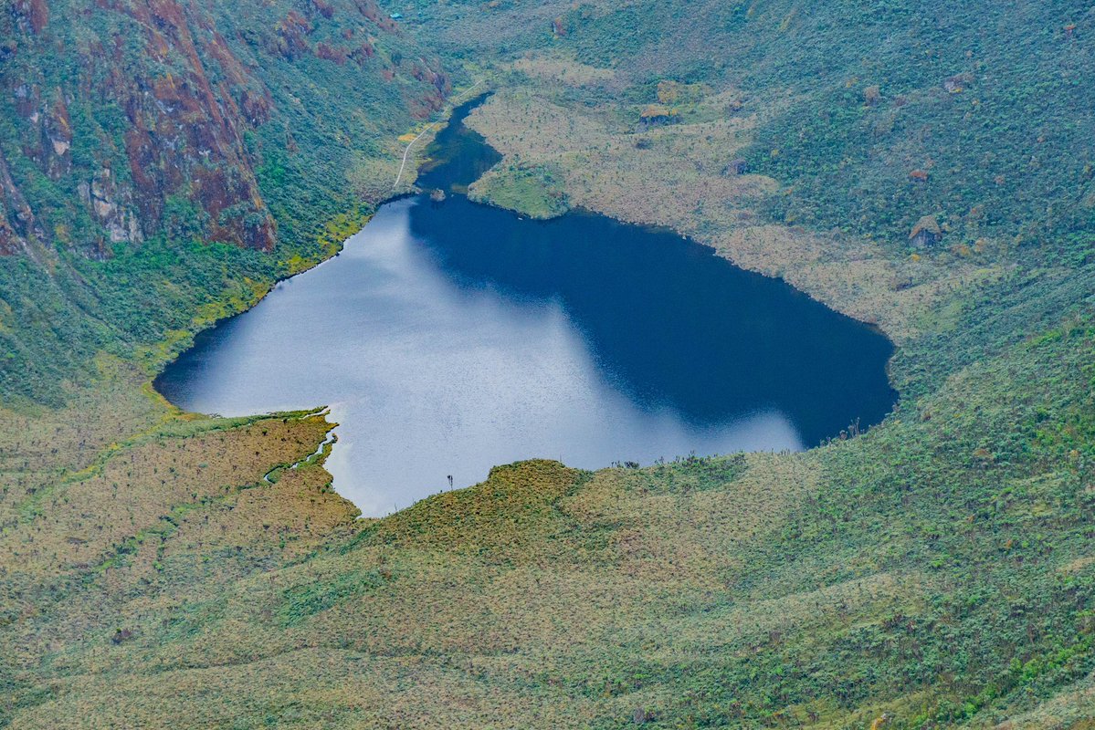 Mükalazi Jacob Zuma tweet media