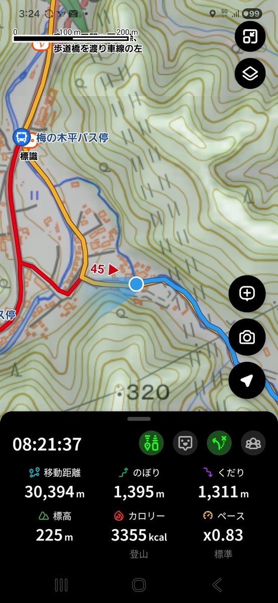 🌿ハマちゃん²² tweet media