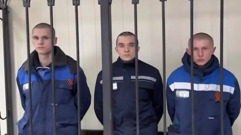 vitaliyfalcon tweet media