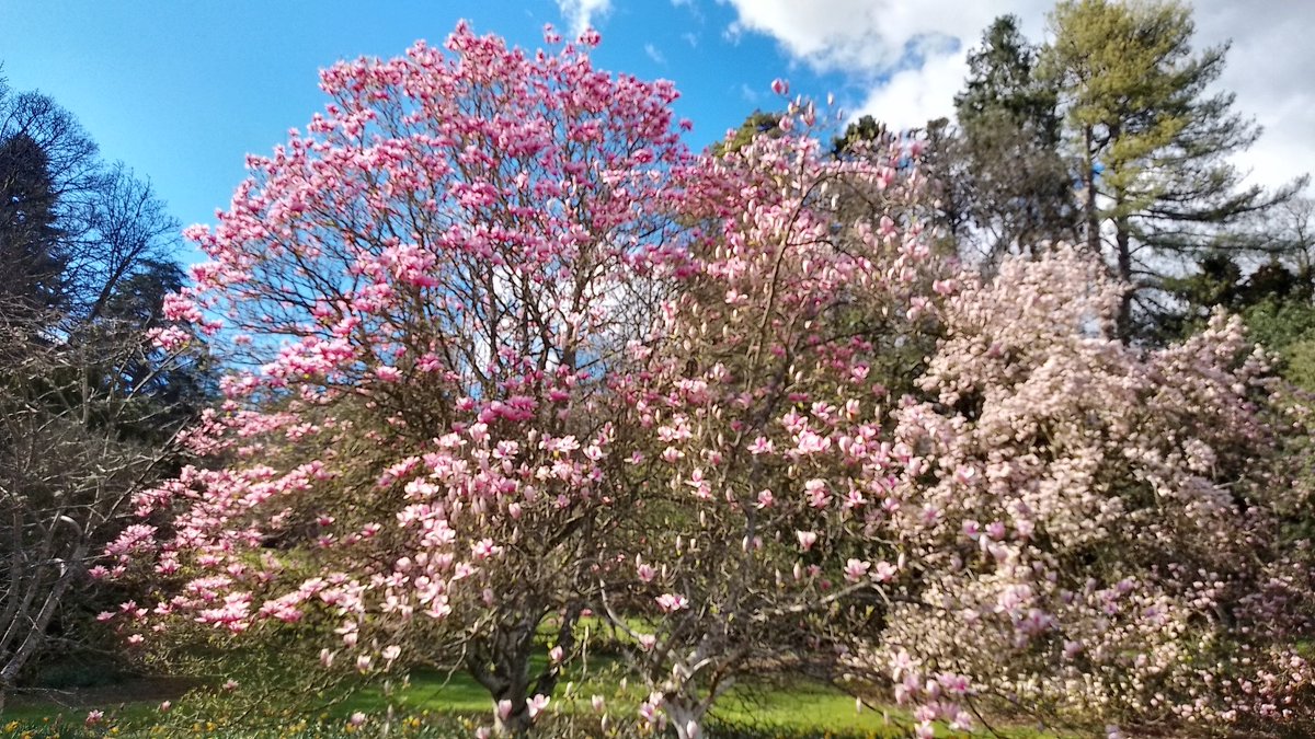 Phil's Plot tweet media