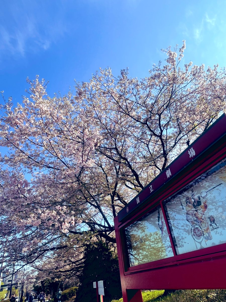 ミフィ@ｱｲｺﾝは本人 tweet media