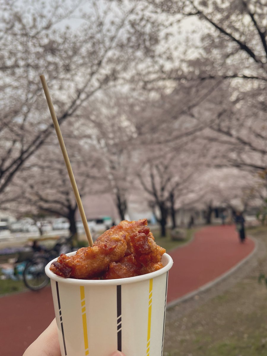 うぱ🐈 tweet media