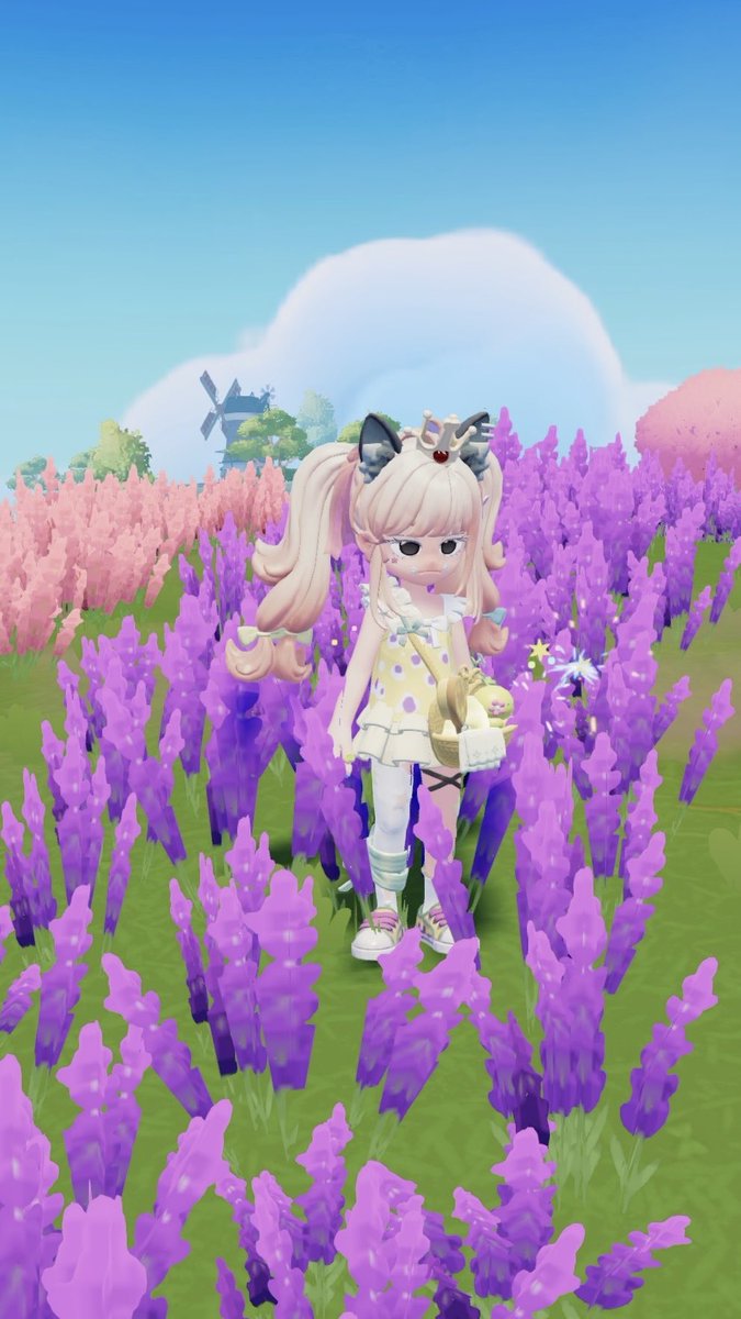 chee🧀 tweet media