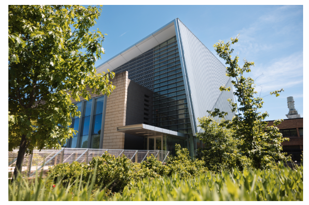 Manya Koetse tweet media