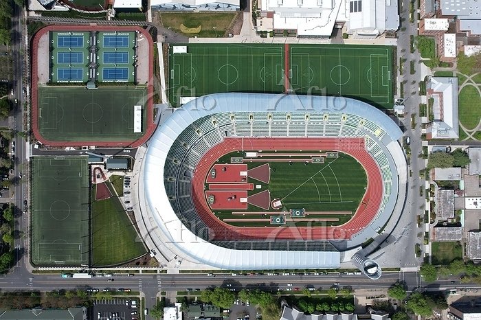 🌸にしなかじま🌸 tweet media