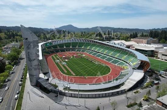 🌸にしなかじま🌸 tweet media