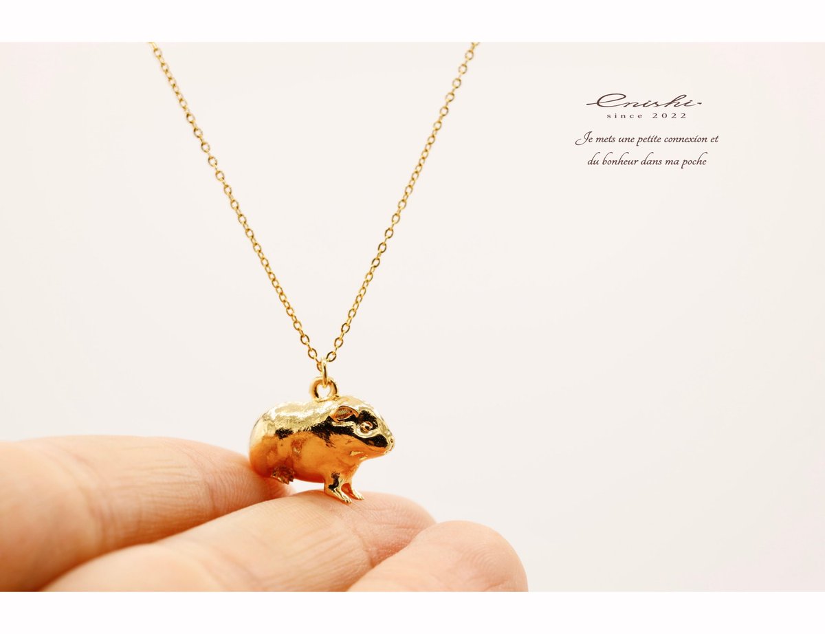 enishi. 大人かわいいモルモット雑貨 tweet media